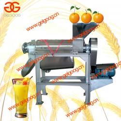 Fruit Juice Extractor Machine