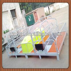 Full Set of Pig Farming Equipment Supplier