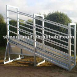 Galvanized loading ramp for cattle