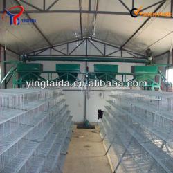 Galvanized quail cage