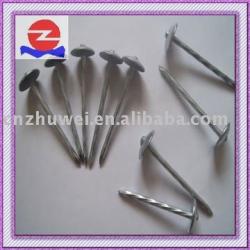 Galvanized Roofing Nail with Neoprene Washer