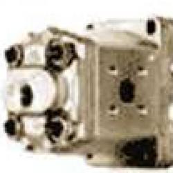 GEAR PUMPS AND MOTORS