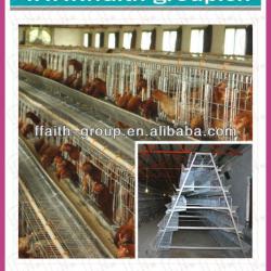 good quality poultry house chicken layer cage