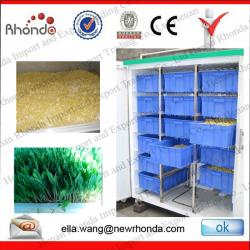 Green Bean Sprouts Machine With 10 Years Warranty