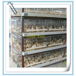 H-type hot galvanized pullet chicken cage