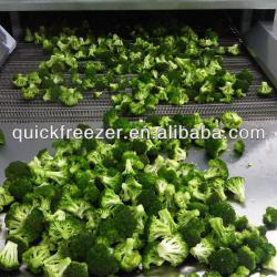 high output IQF quick freezer mesh belt tunnel freezer