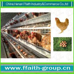 Hign quality layer chicken cage for sale