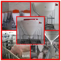HL- HOT SALE automatic pig feeder/0086-13283896572