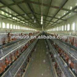 hot galvanized automatic poultry farming battery cage
