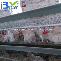 Hot-Sale BT factory A-120 battery cages for layers(Welcome to Visit my factory)
