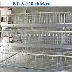 Hot-Sale BT factory A-120 chicken cage for layers (Welcome to Visit my factory)
