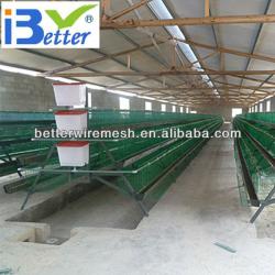 Hot-Sale BT factory A-120 chicken layer battery cage(Welcome to Visit my factory)