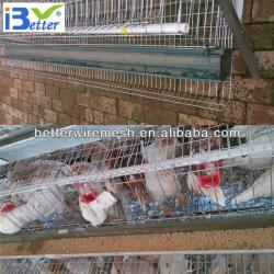 Hot-Sale BT factory A-128 breeding cage for birds(Welcome to Visit my factory)