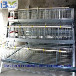 Hot-Sale BT factory A-128 chicken egg layer cages(Welcome to Visit my factory)