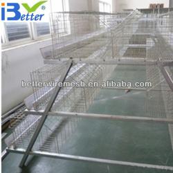 Hot-Sale BT factory A-128 chicken egg layer cages(Welcome to Visit my factory)