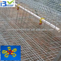 Hot-Sale BT factory A-160 types of bird cage(Welcome to Visit my factory)