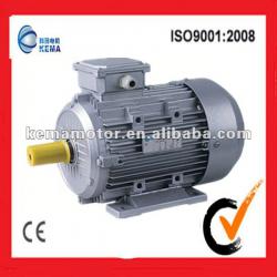 Hot sell nema standard high efficiency motor