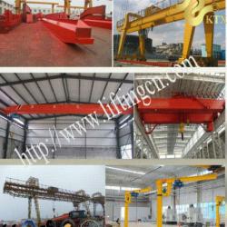 Hot selling Overhead crane/Gantry crane/Jib crane