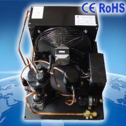 Hvac Condensing unit for Freezing cold room supermarket equipment showcase chiller