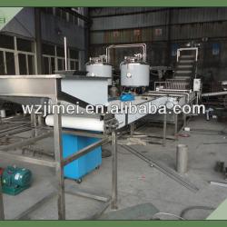 Industrial Mango Processing Line