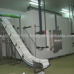 IQF Fluid Bed freezers