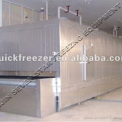 IQF Mesh Belt Tunnel Freezers