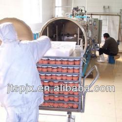 JT-PL computer automatic water spray stainless steel autoclave sterilizer