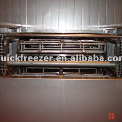 Larger Capacity Quick Freezer Multi-Layer Tunnel freezer