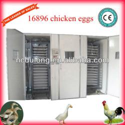 LATEST Wholesale price 98% hatching rate BEST SELLING solar incubator