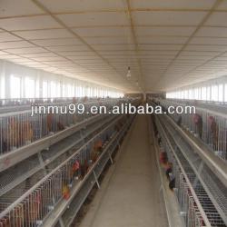 layer chicken poultry house