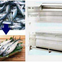 Low cost all tainless steel the fish scales take off machine