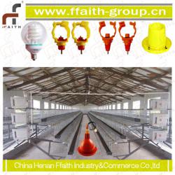 made in China poultry house ues good quality chicken cage