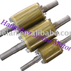 Motor rotor/Motor stator