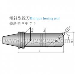 Oblique boring tool