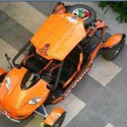 Orange Color 300CC EEC Automatic CVT