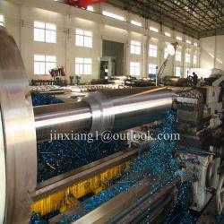 Pearlitic ductile cast iron mill rolls 1