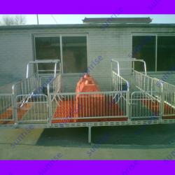 pig equipment/pig breeding equipment/pig farming equipment