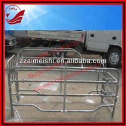 pig single corral for pig farm