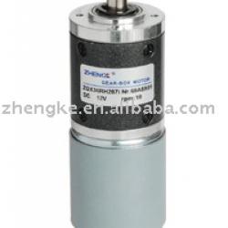 Planetary gearhead motor