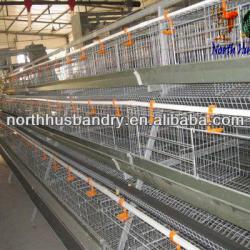 Poultry Egg Laying Cages Supply Poultry Cages For Egg Layer Farm