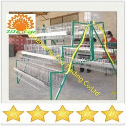 poultry equipment