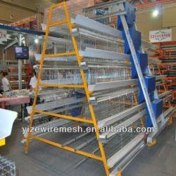 poultry farm design (professional manufacturer)