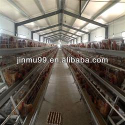 poultry farm layer cage in South America