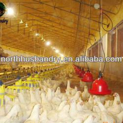 Poultry Husbandry Equipment for broiler