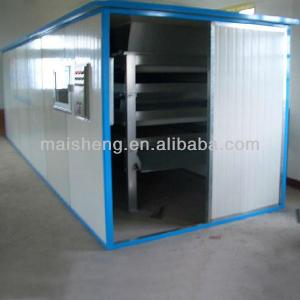 Professional Belt Dryer, Net Belt Tunnel Dryer, Mesh Belt Dryer