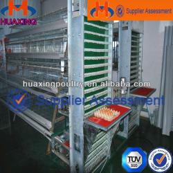 professional China manufacture layer cage system