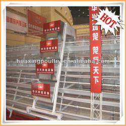 Professional design automatic chicken farm cage