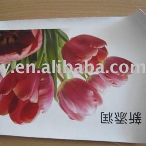 pvc flatbed printer