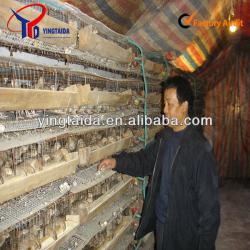 quail cage wholesale
