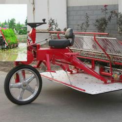 rice planter for sale/rice planting machine and prices0086-15838061730